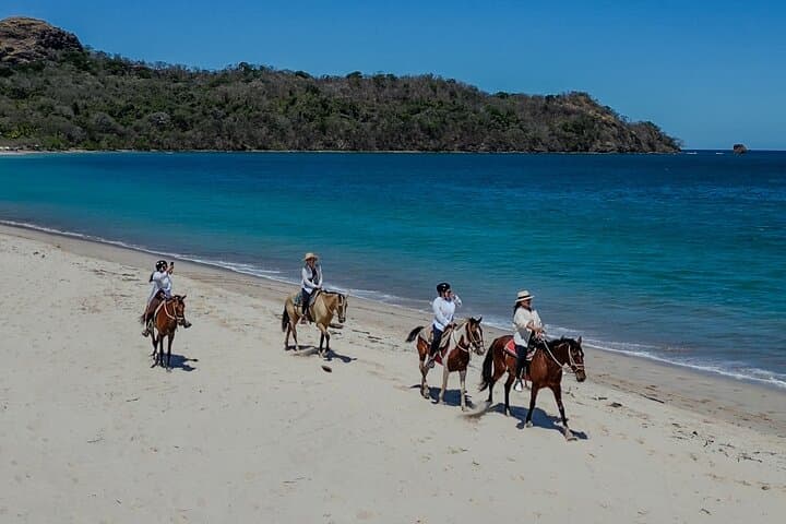 Playa Flamingo Horseback Riding: 90-Minute Beach & Trail Guided Tour photo 6