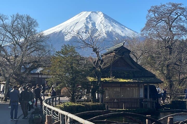 Mount Fuji Full-Day Private Tour from Tokyo — Kawaguchiko, 5th Station & Hakone photo 4