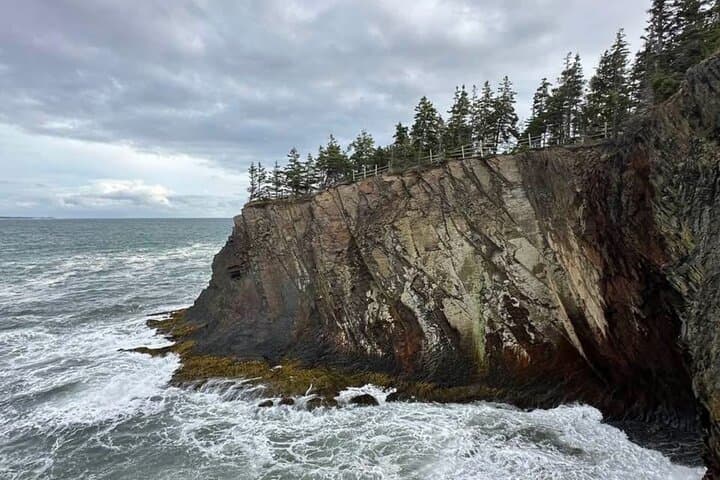 Best of Nova Scotia: Full-Day Private Luxury Tour from Halifax photo 4