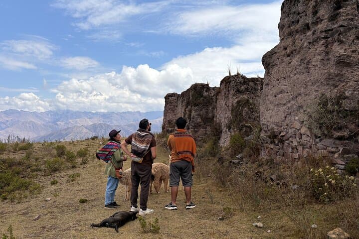 Walk with Alpacas in Peru's Sacred Valley: Half-Day Cultural Hike from Cusco photo 2