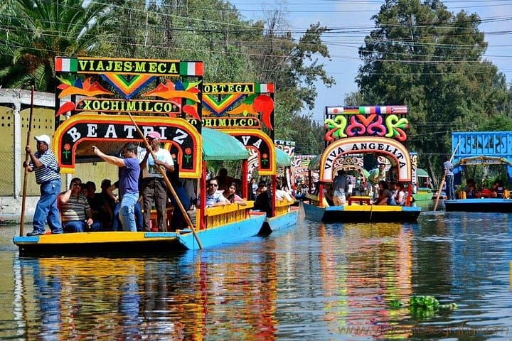 Coyoacán, UNAM & Xochimilco: Southern Colors of Mexico City Trajinera Tour photo 2