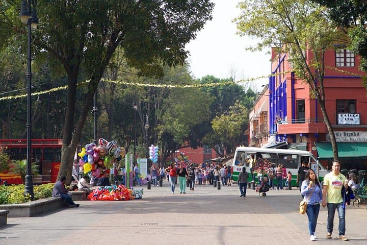 Coyoacán, UNAM & Xochimilco: Southern Colors of Mexico City Trajinera Tour photo 3