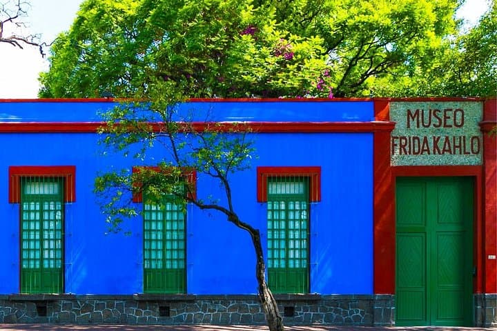 Coyoacán, UNAM & Xochimilco: Southern Colors of Mexico City Trajinera Tour photo 4