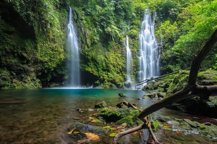 Sekumpul Waterfall & Northern Bali Full-Day Private Tour — Waterfalls, Jatiluwih Rice Terraces and Sangeh Monkey Forest