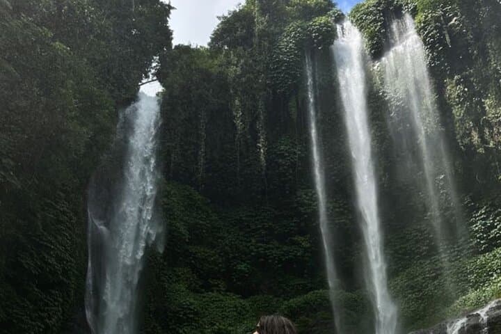 Sekumpul Waterfall & Northern Bali Full-Day Private Tour — Waterfalls, Jatiluwih Rice Terraces and Sangeh Monkey Forest photo 6