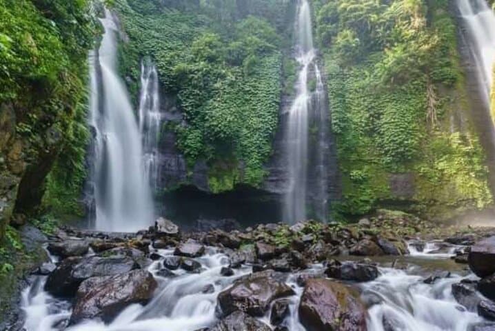 Sekumpul Waterfall & Northern Bali Full-Day Private Tour — Waterfalls, Jatiluwih Rice Terraces and Sangeh Monkey Forest photo 2