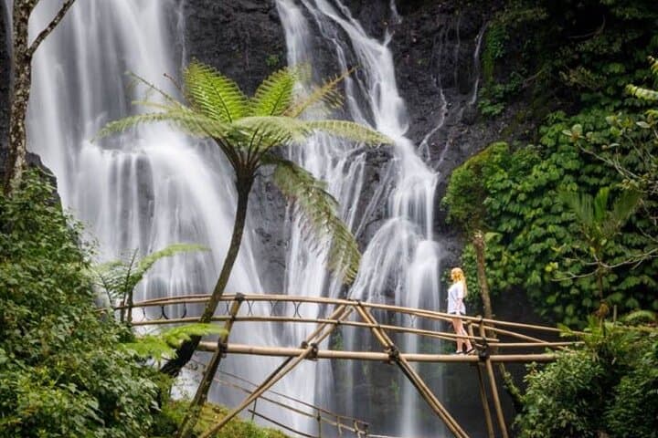 Sekumpul Waterfall & Northern Bali Full-Day Private Tour — Waterfalls, Jatiluwih Rice Terraces and Sangeh Monkey Forest photo 3