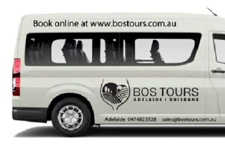 Springbrook Natural Bridge & Mt Tamborine Skywalk: Glow Worm Cave, Rainforest Walks and Scenic Lookouts photo 2
