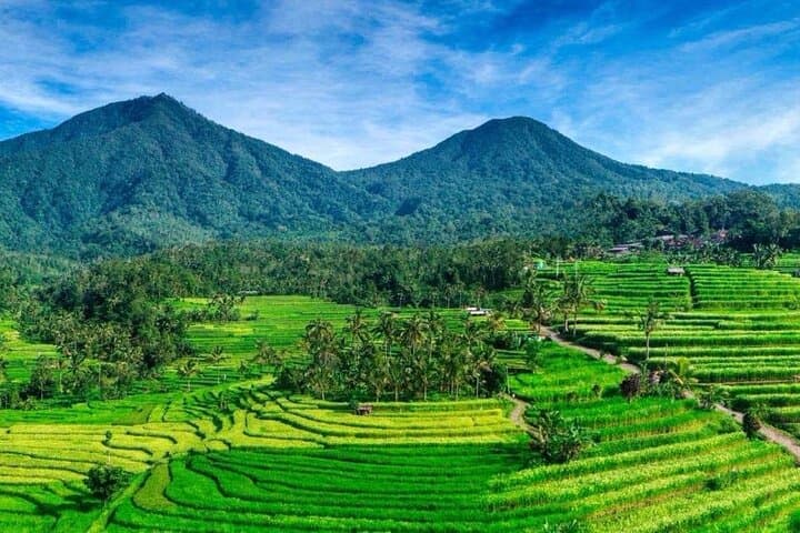 Sekumpul Waterfall & Northern Bali Full-Day Private Tour — Waterfalls, Jatiluwih Rice Terraces and Sangeh Monkey Forest photo 5