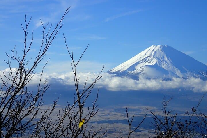 Private Mt Fuji Day Tour from Tokyo — Custom Stops, Photo Views & Shrine Visits photo 2