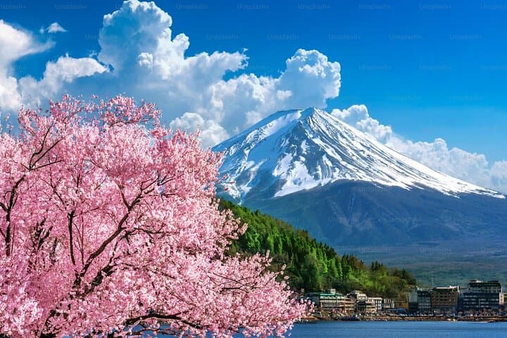 Private Mt Fuji Day Tour from Tokyo — Custom Stops, Photo Views & Shrine Visits photo 3