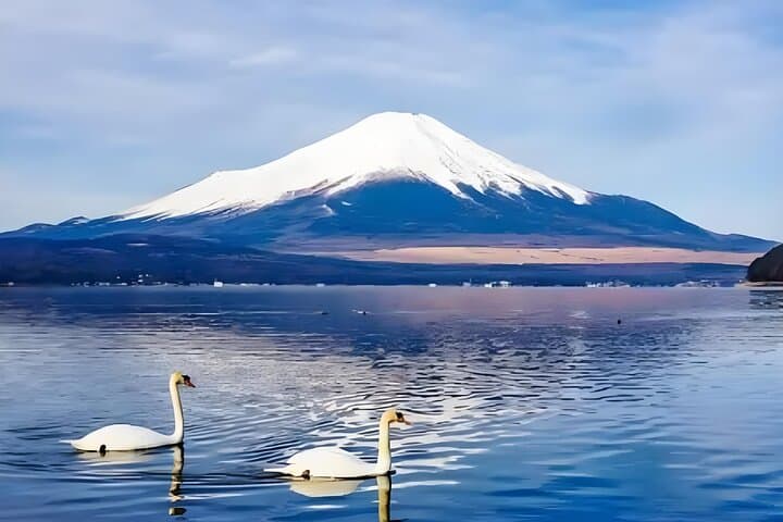 Private Mt Fuji Day Tour from Tokyo — Custom Stops, Photo Views & Shrine Visits photo 5