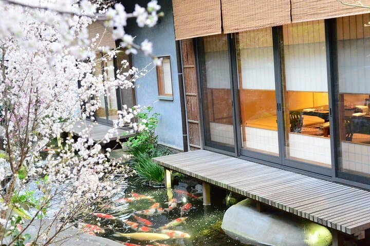 Tokyo Cherry Blossom Private Dinner & Sakura Garden Tour photo 4