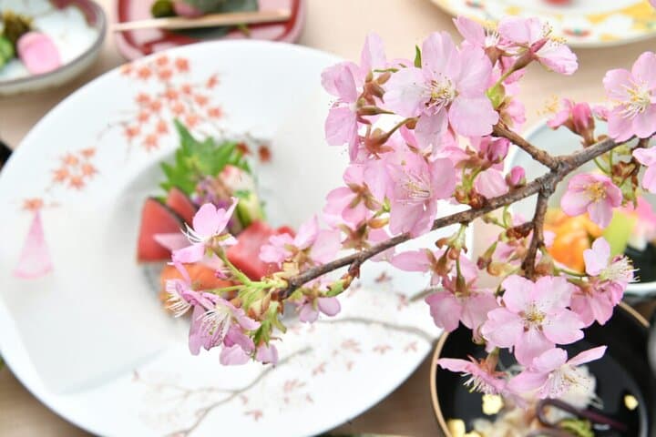 Tokyo Cherry Blossom Private Dinner & Sakura Garden Tour photo 2