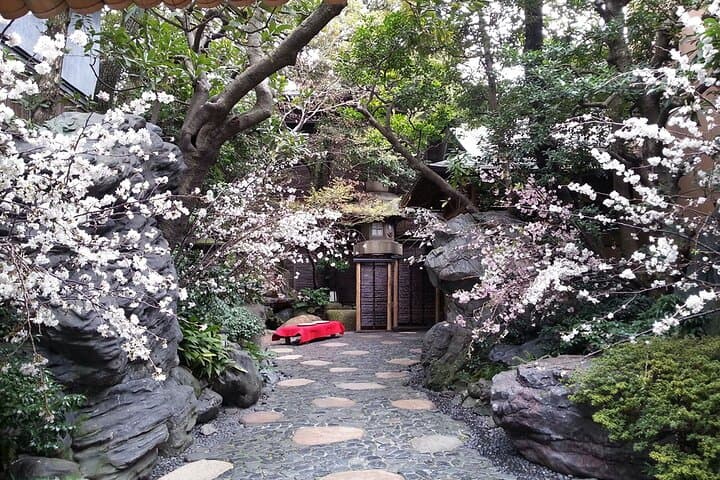 Tokyo Cherry Blossom Private Dinner & Sakura Garden Tour photo 5