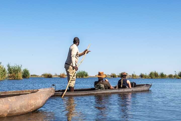 Okavango Delta Mokoro Day Tour: Paddle the Wild Heart of Botswana