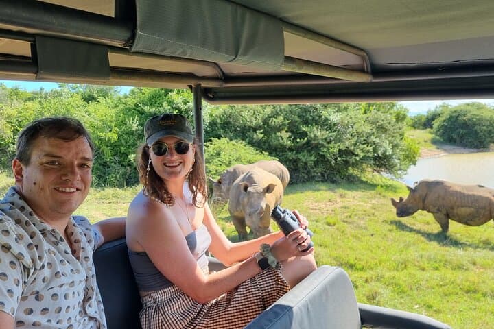 Half-Day Open 4x4 Safari in Addo Elephant National Park