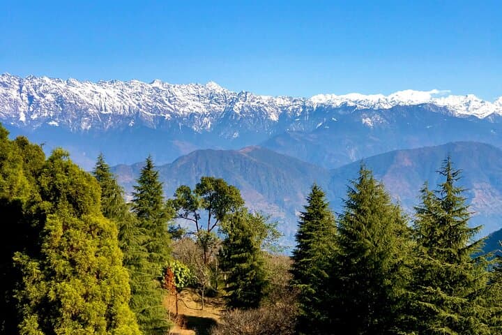 Shivapuri Peak Day Hike from Kathmandu — Summit to 2,732 m photo 2
