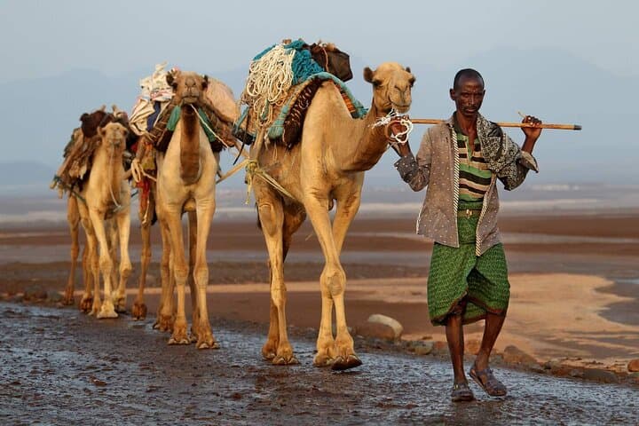 3-Day Danakil Depression Adventure: Erta Ale, Dallol & Salt Flats photo 4