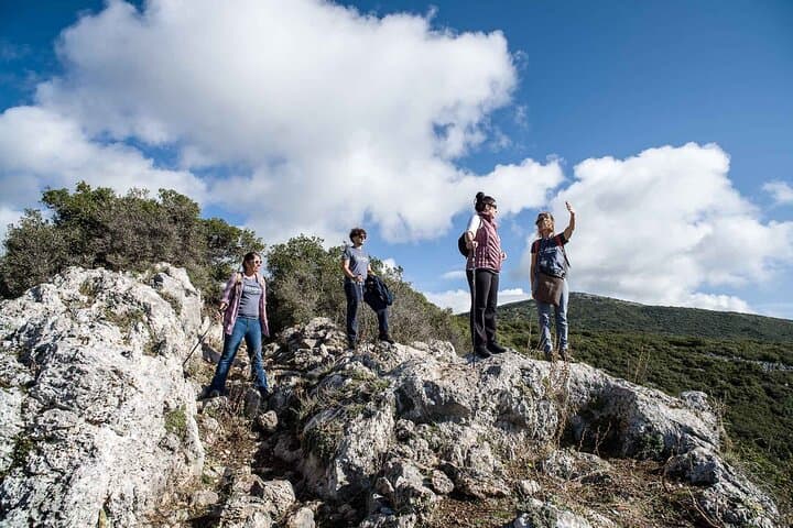 Walking Delphi’s Ancient Footpath: E4 Hike from Livadi Plateau to the Sanctuary photo 3