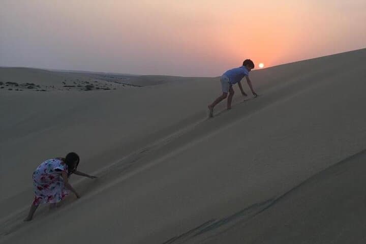 Doha Desert Safari: Dune Bashing, Camel & Horseback Rides with Beach Relaxation photo 3