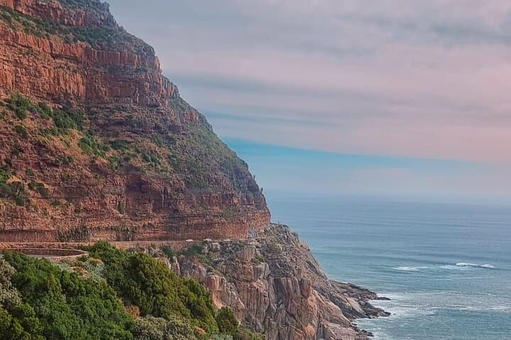 Cape Peninsula Scenic Coastal Adventure: Cape Point, Penguins & Chapman’s Peak photo 2