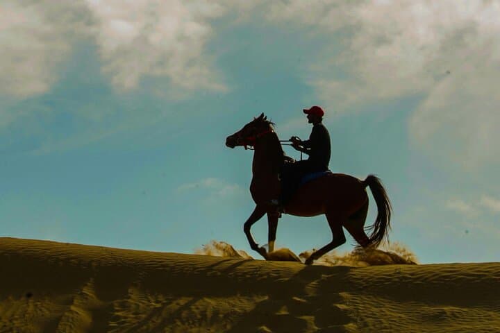 Doha Desert Safari: Dune Bashing, Camel & Horseback Rides with Beach Relaxation