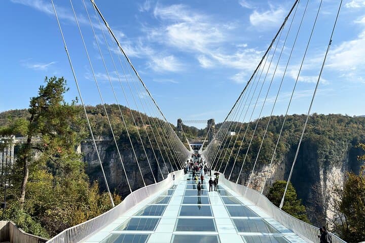 Zhangjiajie Grand Canyon Glass Bridge: Visitor Guide & Tickets