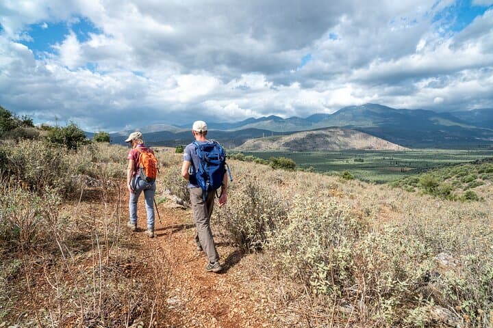 Hike the Crisaean Olive Grove from Delphi: Ancient Pilgrims' Path on the E4 photo 4