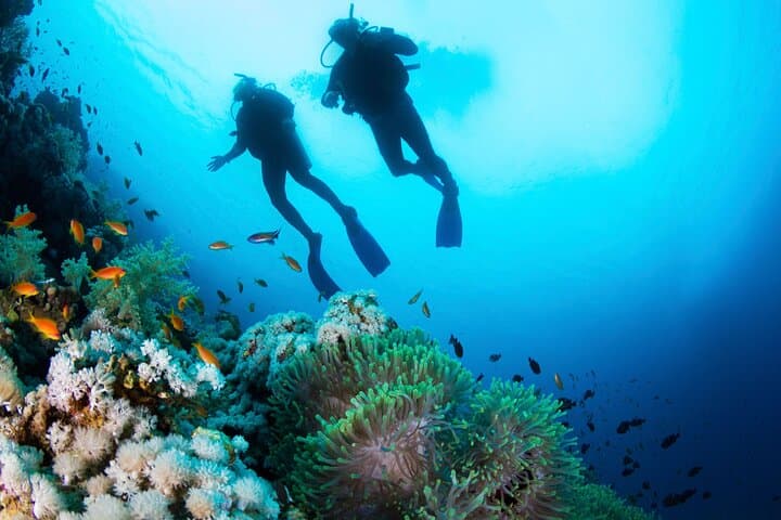 Red Sea Beginner Scuba Diving Trip from Hurghada — Two Dives, Lunch & Guided Intro