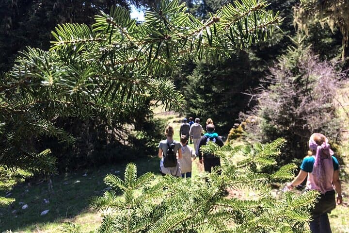Gaia's Mythical Corycian Cave Hike on Mount Parnassos
