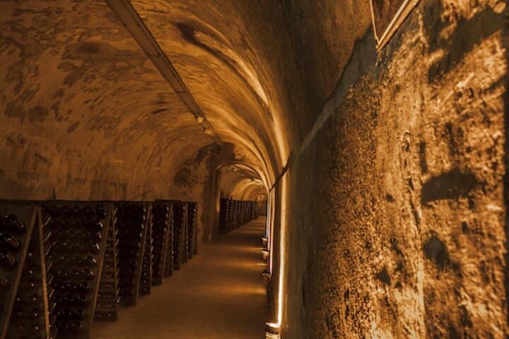 Private Champagne Tour to Mumm in Reims from Paris photo 5