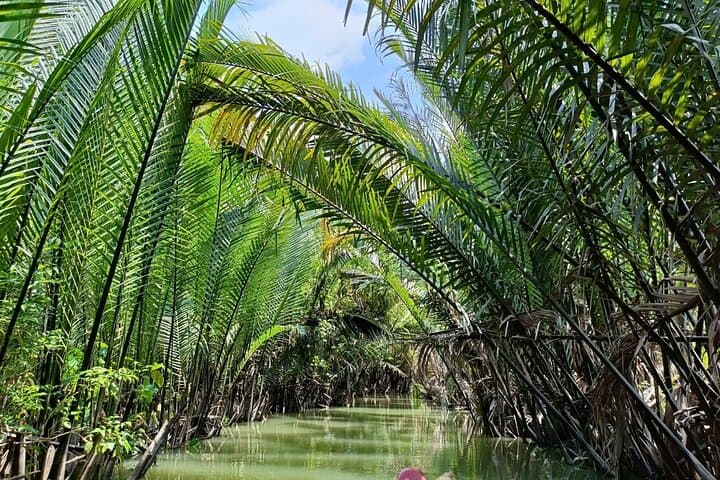 Mekong Delta 3-Day River Journey: Floating Markets, Tra Su & Chau Doc photo 4