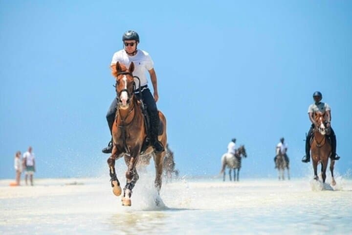Zanzibar & Selous: 8-Day Safari and Beach Escape — Dhow Cruises, Bush Walks, and Sandbanks photo 5