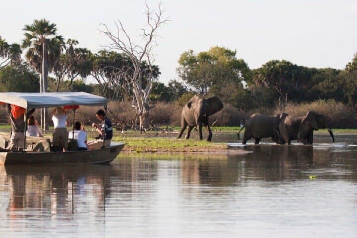 Fly-In Day Safari to Selous (Nyerere) from Zanzibar — Full-Day Game Drive & Bush Lunch photo 4