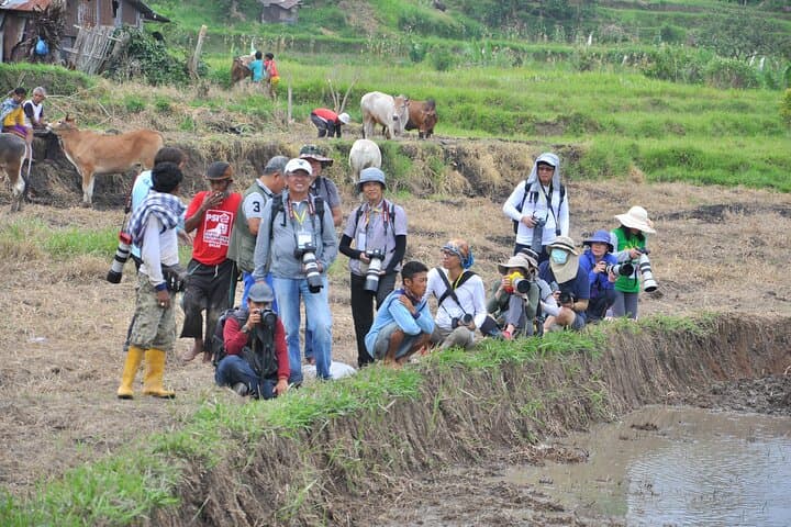Private Day Tour from Bukittinggi to See Pacu Jawi Bull Race and Pagaruyung Palace photo 6
