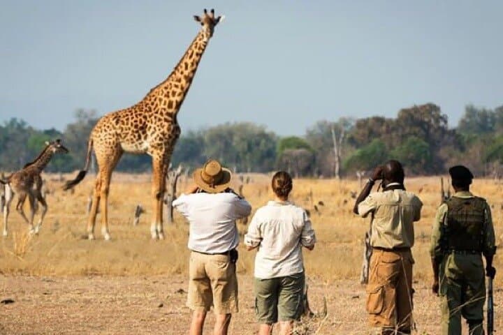 Fly-In Day Safari to Selous (Nyerere) from Zanzibar — Full-Day Game Drive & Bush Lunch photo 6