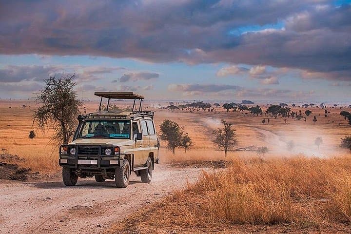 8-Day Wild and Beach Escape: Safari Thrills & Zanzibar Bliss photo 3
