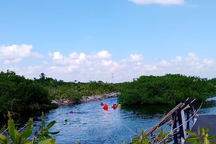 Snorkel Akumal: Turtles at Akumal Bay and Yalku Lagoon photo 2