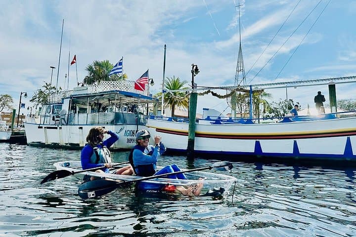 Paddle Over the Depths: Clear Kayak Eco-Tour of Tarpon Springs Sponge Docks