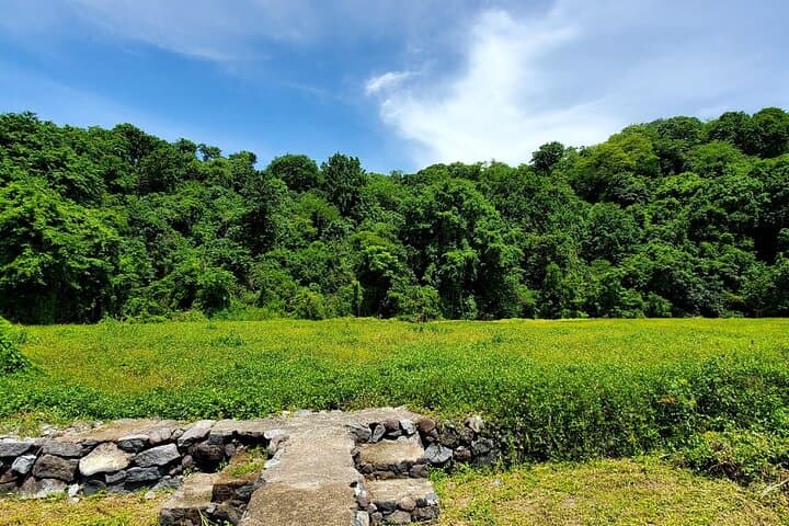 Bird Watching at Hacienda La Calera — Mombacho Nature Reserve, Granada photo 5