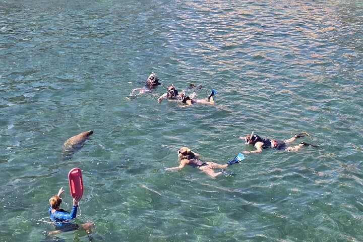 San Juan Snorkel with Turtles and Manatees — Free Video & Rum photo 3