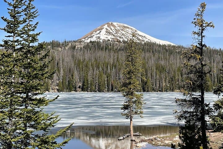 Uinta Mountains Birding and Nature Expedition — Half-Day High-Elevation Birding from Salt Lake City photo 4