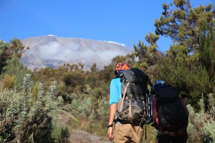 7-Day Machame Route Kilimanjaro Trek — Private Guided Ascent to Uhuru Peak photo 3