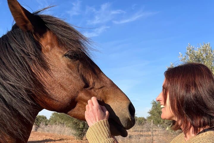 Farm Rescue Visit Near Marrakech: Meet Kai the Goat and Taste Farm-Style Tagine photo 3