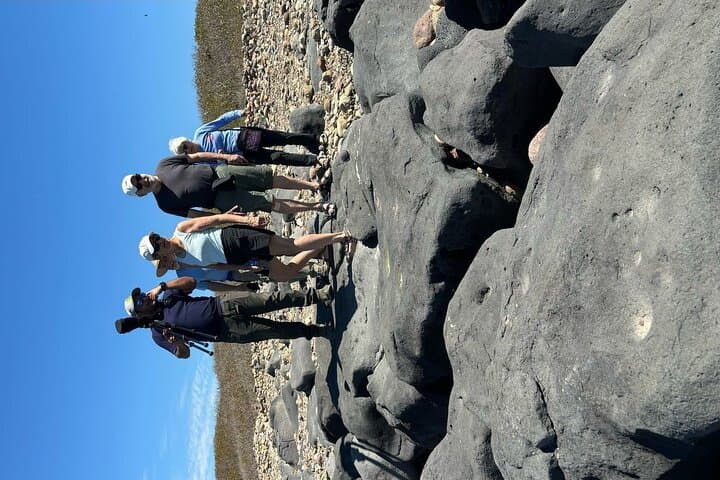 Explore Las Labradas: Coastal Petroglyphs and Beach Walk from Mazatlán photo 4
