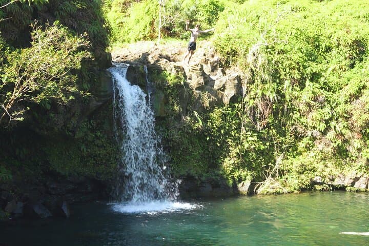 Road to Hana Deluxe Rainforest & Waterfall Experience — Maui Day Tour Guide photo 6