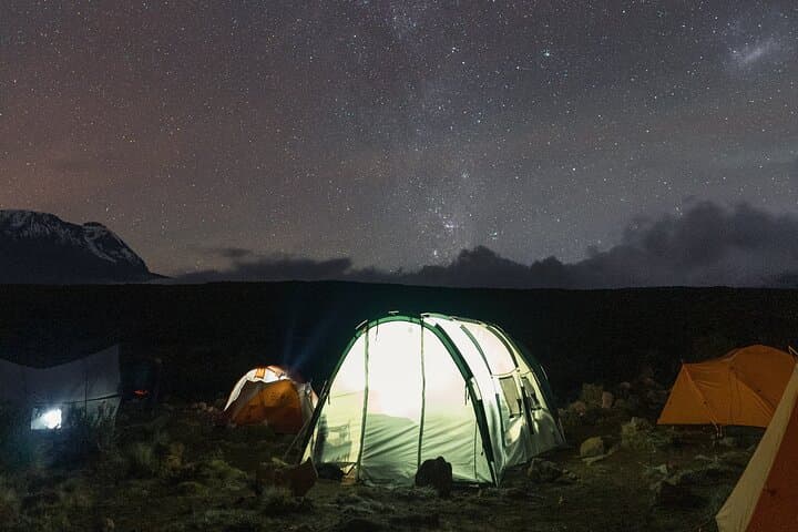 Climb Kilimanjaro via the Lemosho Route: 9-Day Summit Trek from Moshi photo 2
