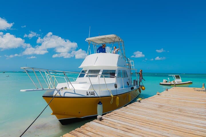 Aruba Certified Scuba Diving: Boat Dives to Reefs & the Antilla Wreck photo 3