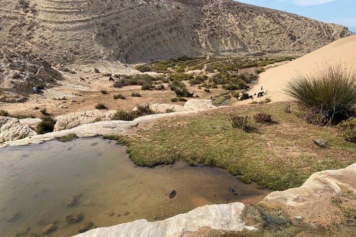 Essaouira Quad Adventure: Dunes, Forests & Wild Atlantic Beaches photo 4